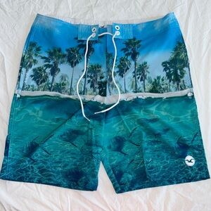 Hollister men’s bathing suit size 32